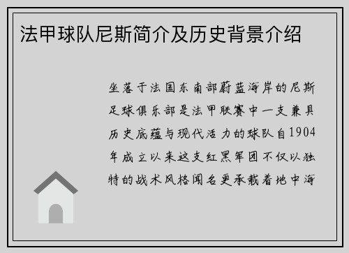 法甲球队尼斯简介及历史背景介绍