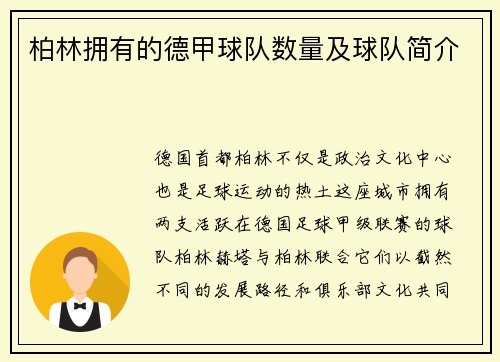 柏林拥有的德甲球队数量及球队简介