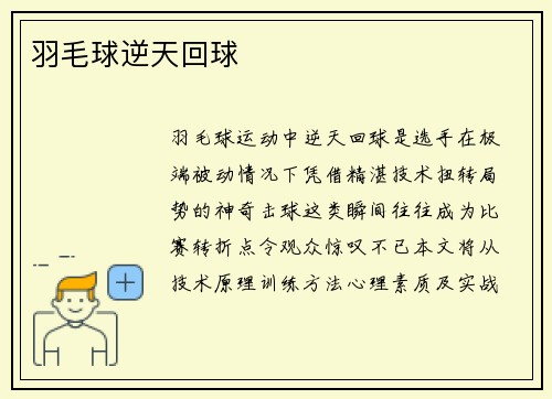 羽毛球逆天回球